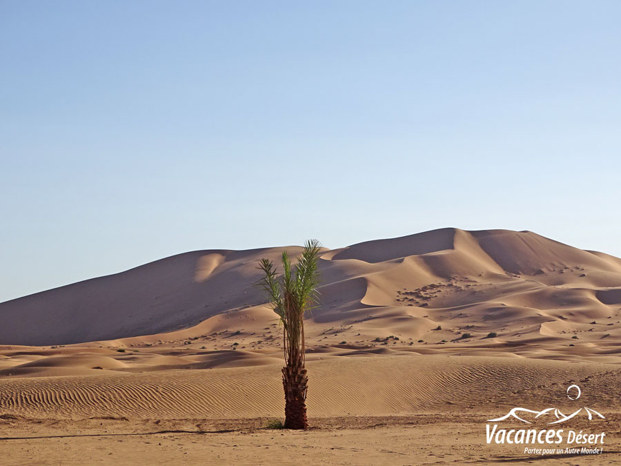 Explorez, Ressentez et Vivez le Maroc !